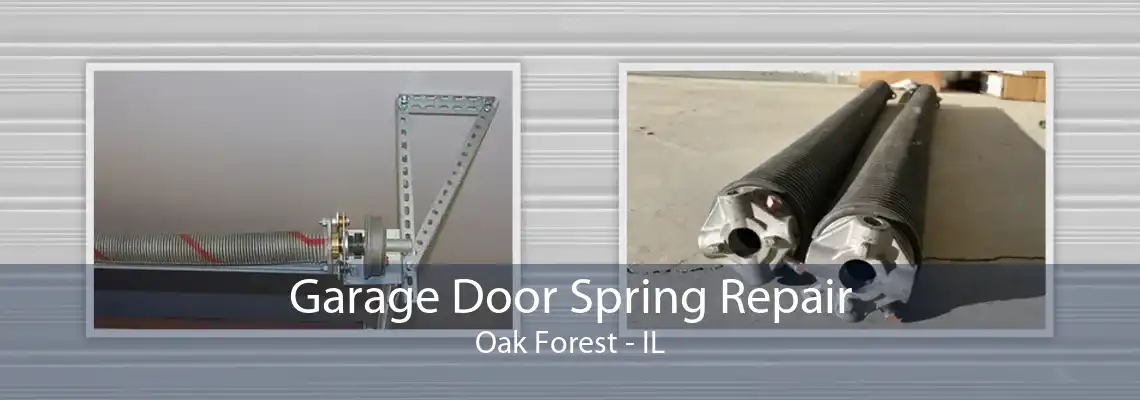 Garage Door Spring Repair Oak Forest - IL